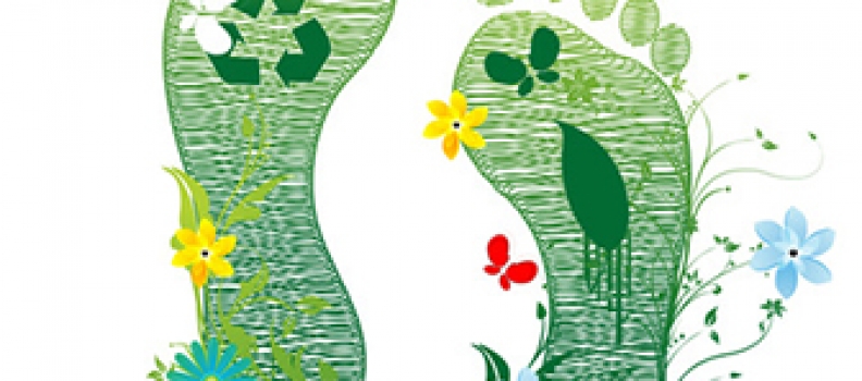 LA HUELLA VERDE DEL GRANO DE ORO
